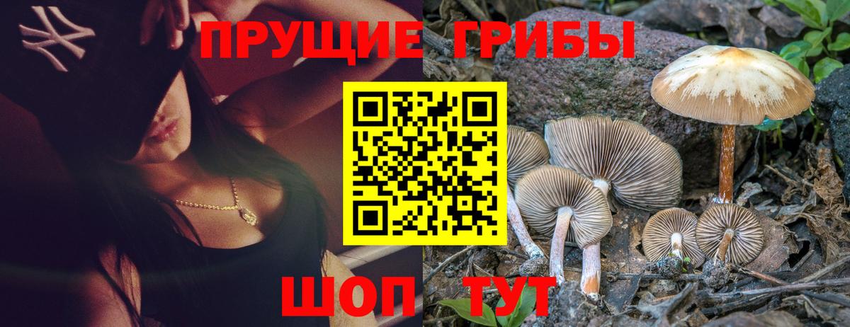 Псилоцибиновые грибы Magic Shrooms  Вход с VPN  закладки  Галлюциногенные грибы мицелий  Минеральные Воды 